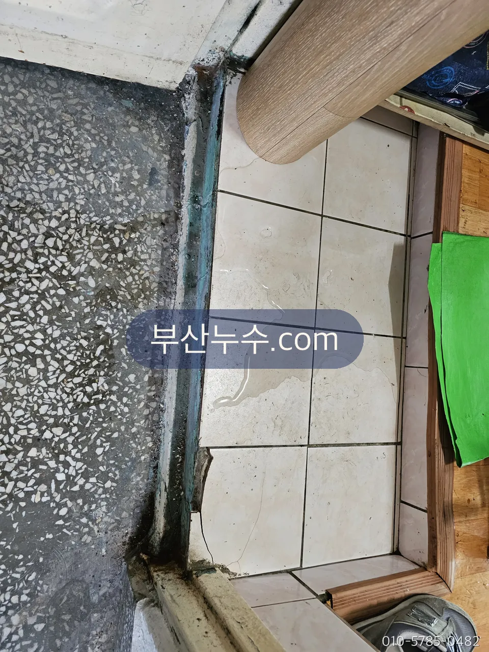 타일 경계선을 따라 스며 나온 물기