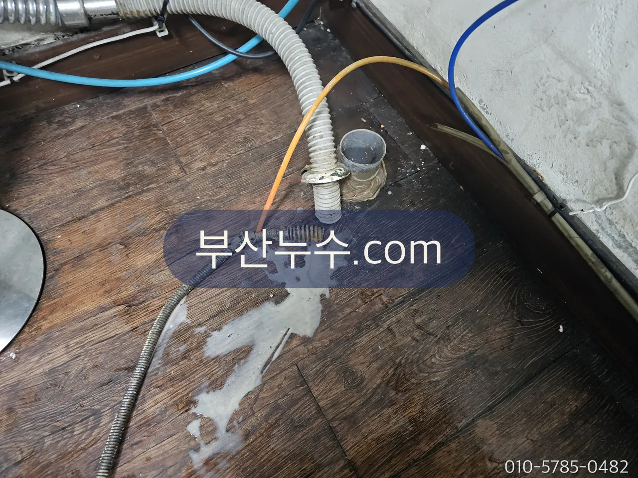 살수 시험 중 호스 물이 바닥으로 번진 범위 확인