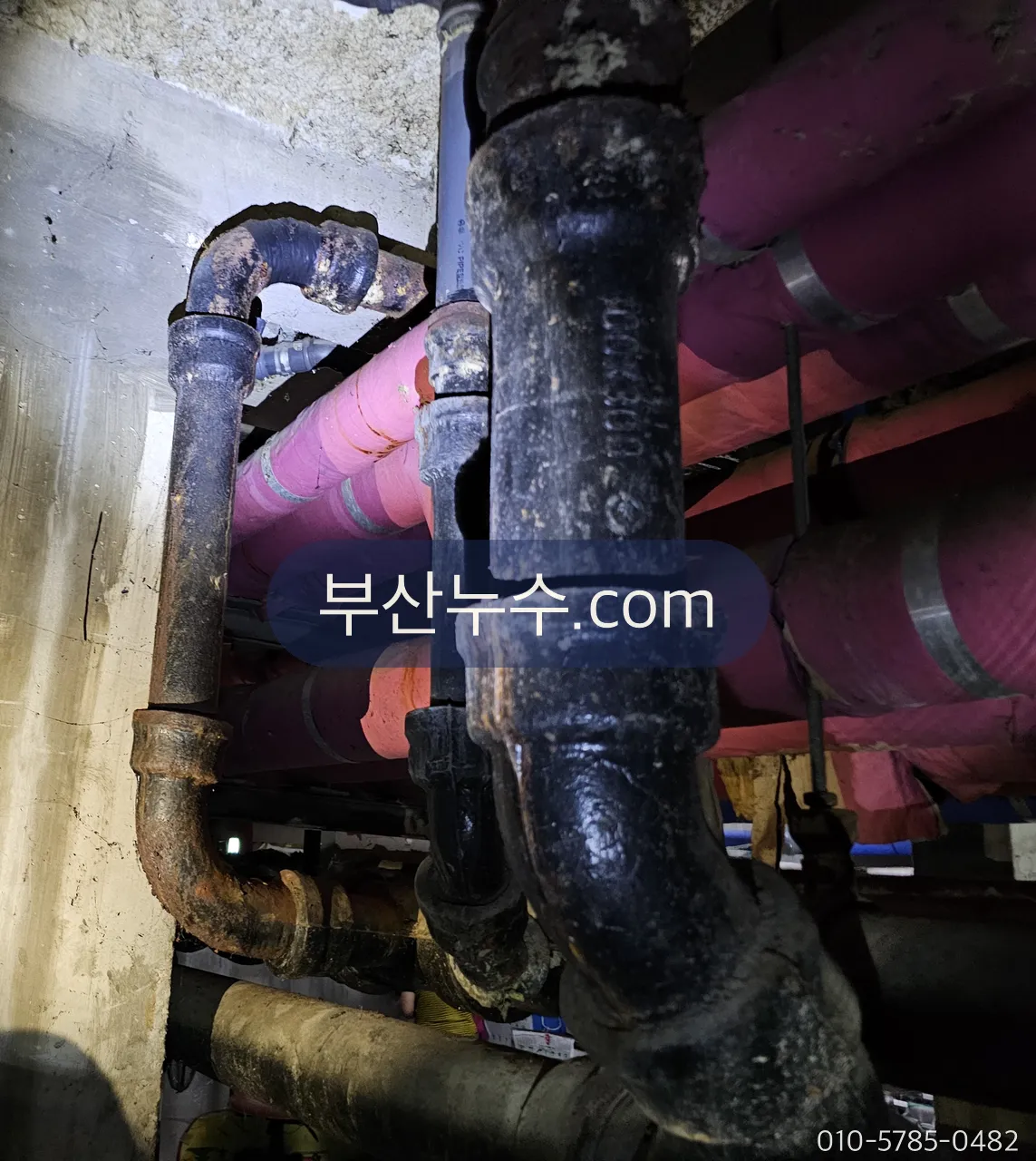 천장 속 배관을 손전등으로 비춰 물자국 방향을 보는 장면
