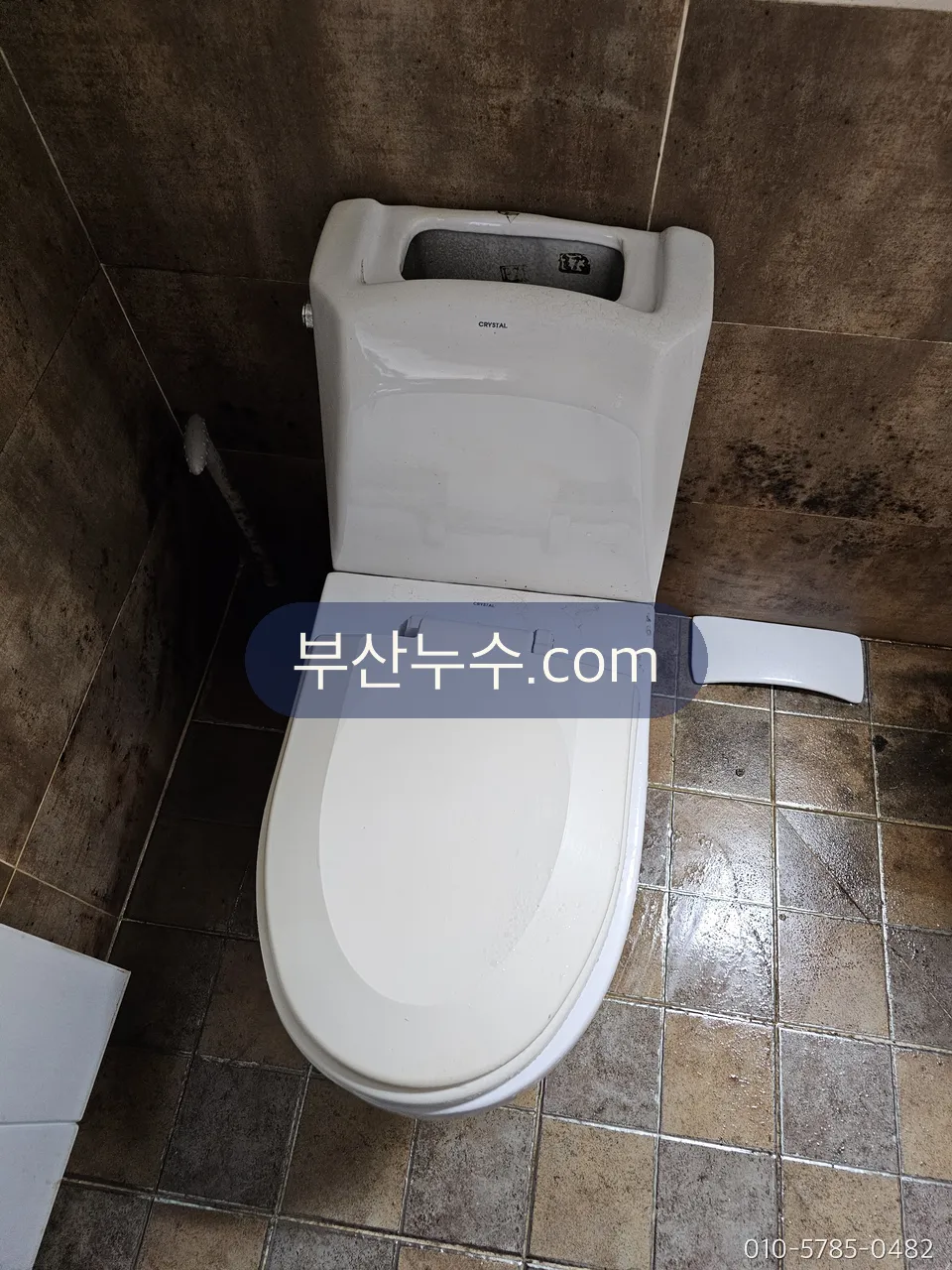 원룸 화장실 변기 둘레 바닥 상태 확인